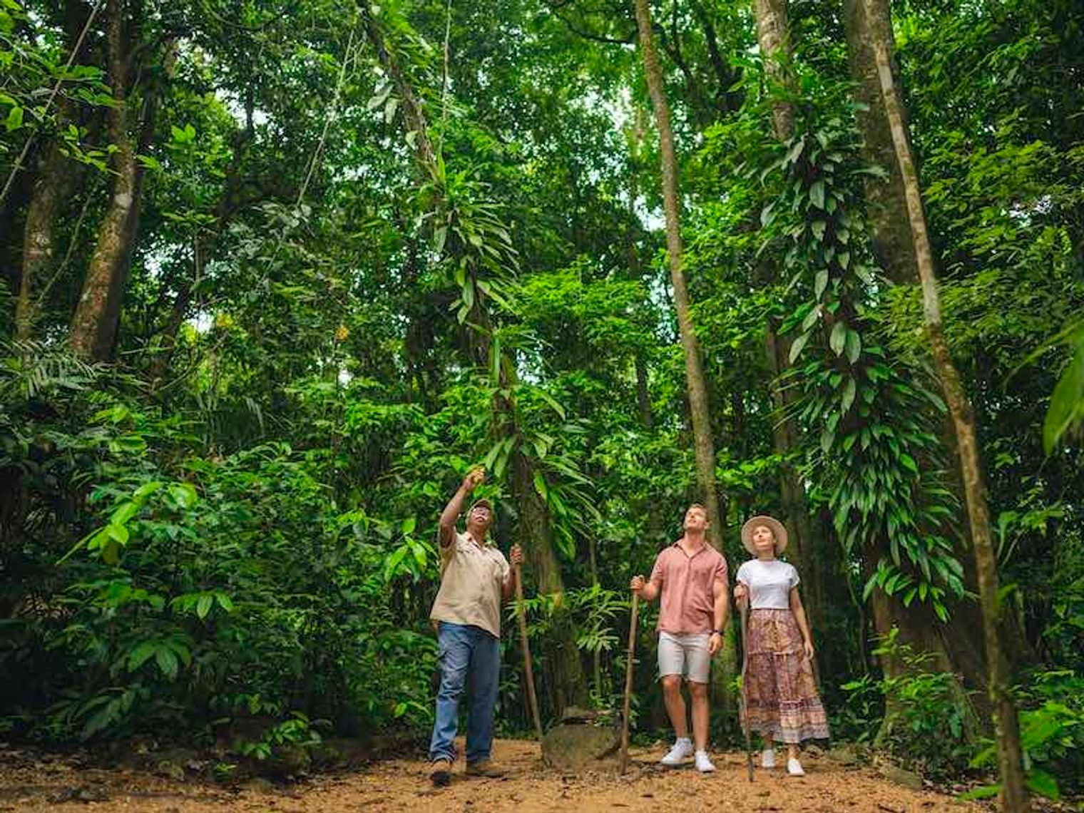 Australien Tropical North Queensland Daintree Dreamtime Walk