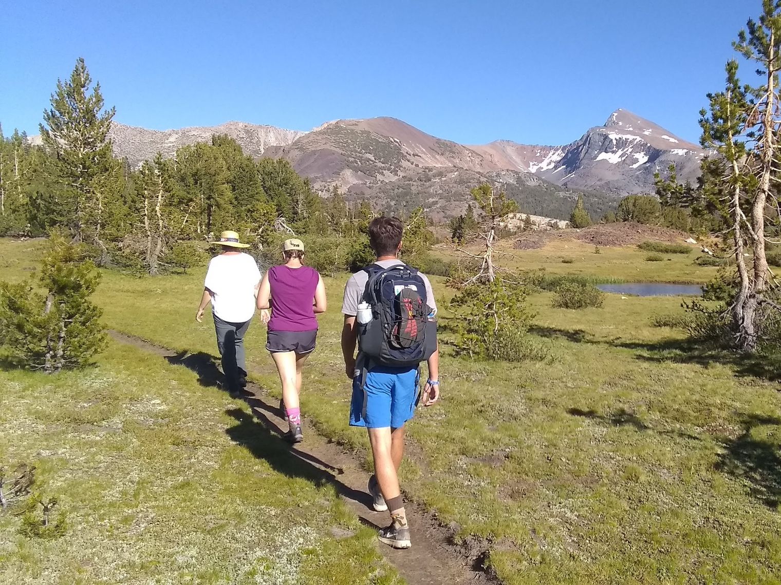 Family Yosemite National Park California United States Hike View Guide Service 547515