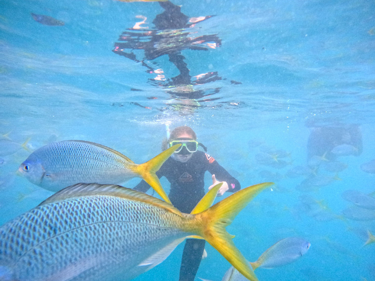 Foto 03 10 23 12 30 47