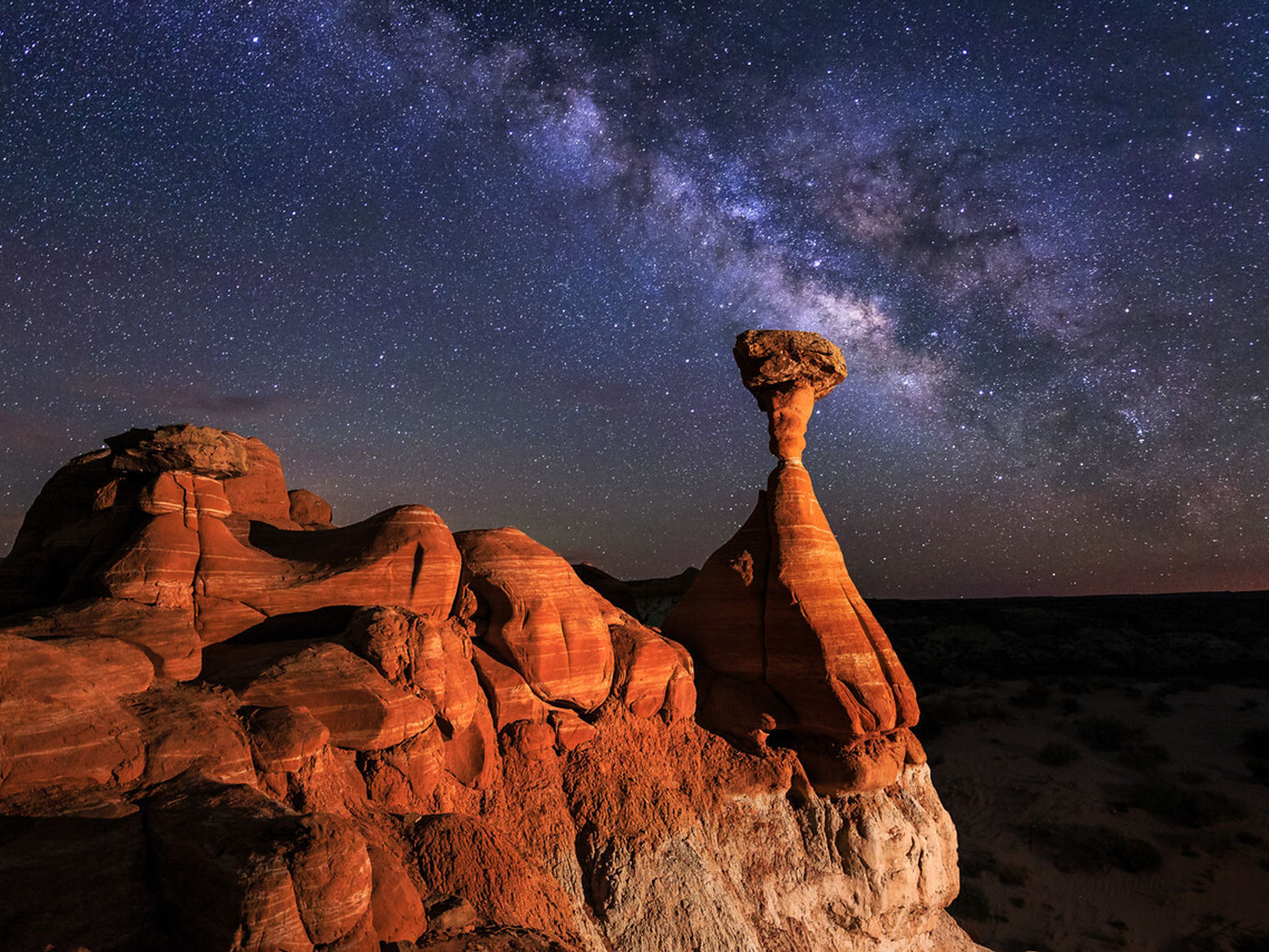 Grand Staircase DS Toadstools MW KCOT X2