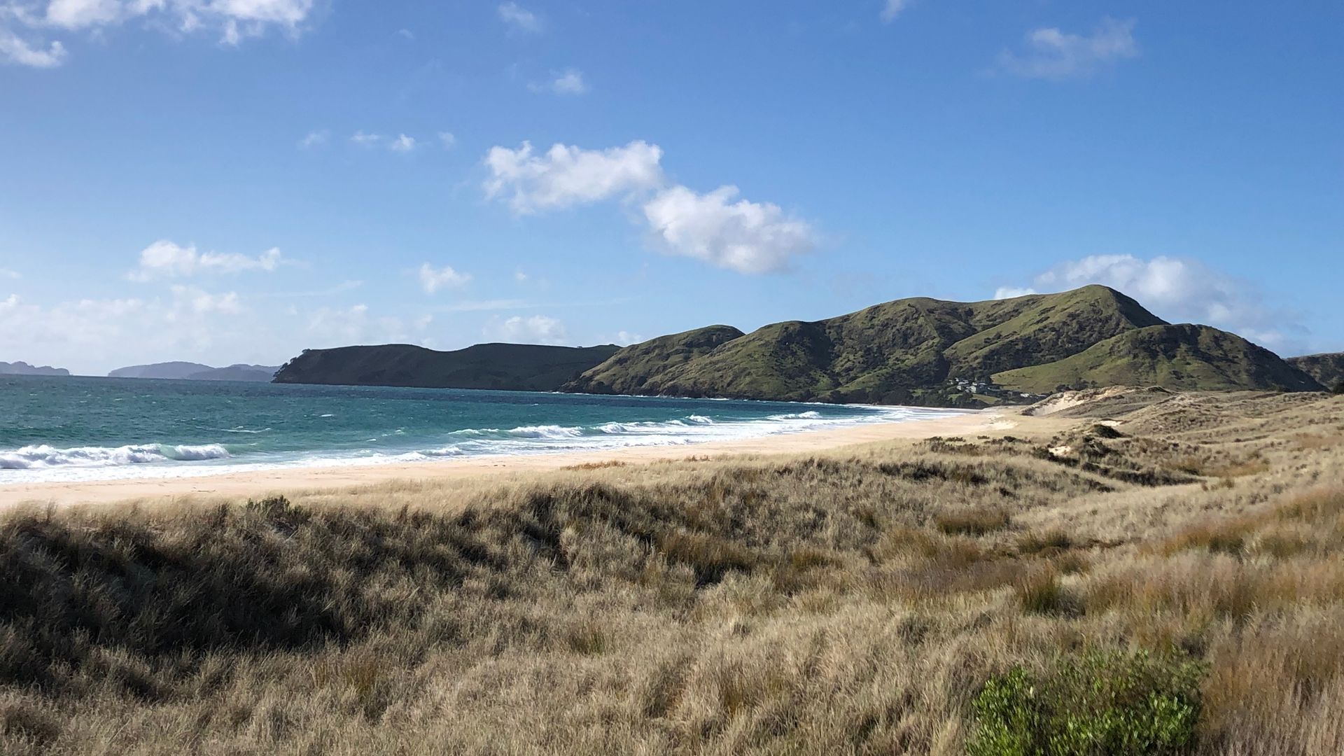 Küstenbucht mit Dünengras, Hügeln und Sandstrand in Neuseeland