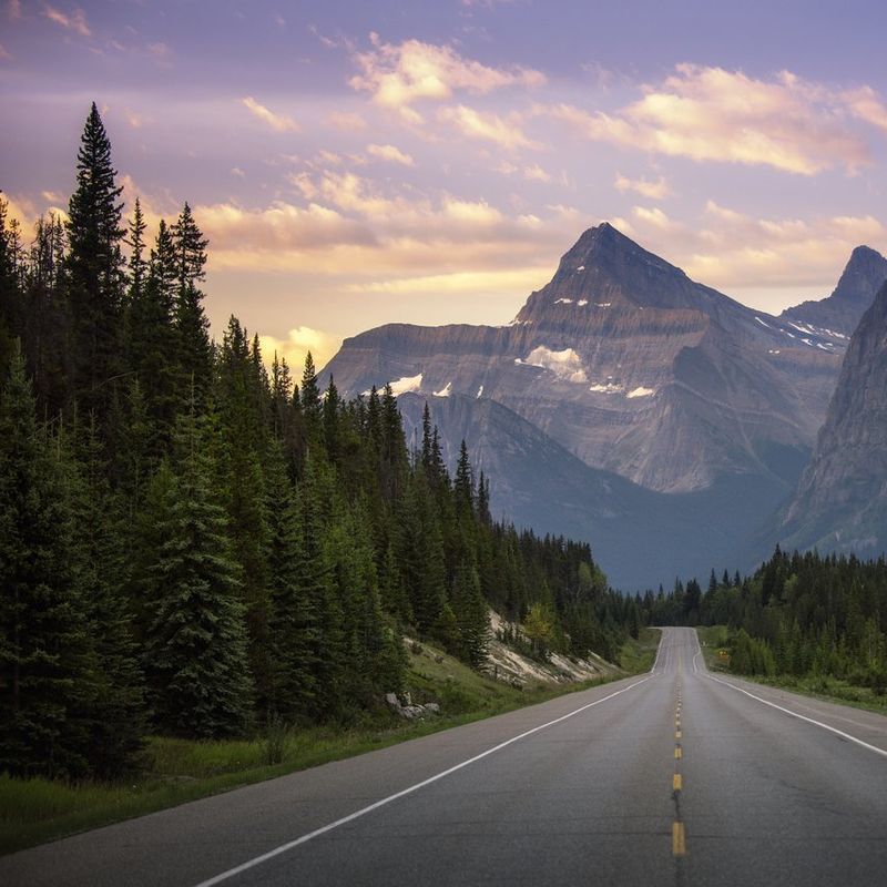 Icefield Parkway CR Sarah Hatton medium