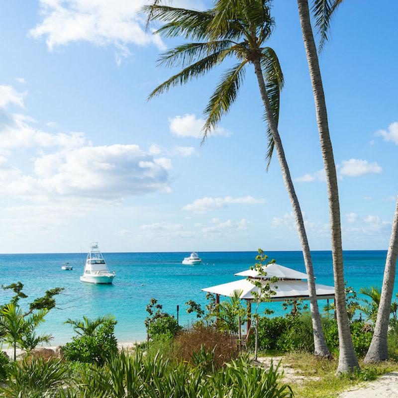 Een tropisch strand op Lizard Island met palmbomen op de voorgrond en boten in zee op de achtergrond