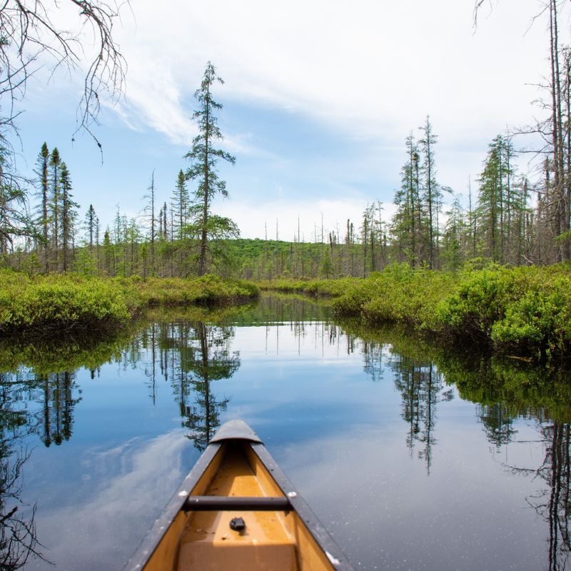 Das Heck eines Kanus, das durch die Gewässer des Algonquin-Provinzparks gleitet, umgeben von üppigem Grün
