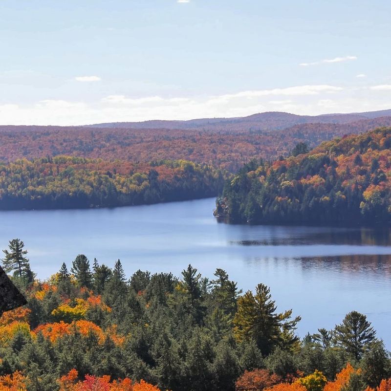 Een uitzicht op de Algonquin Park-rivier