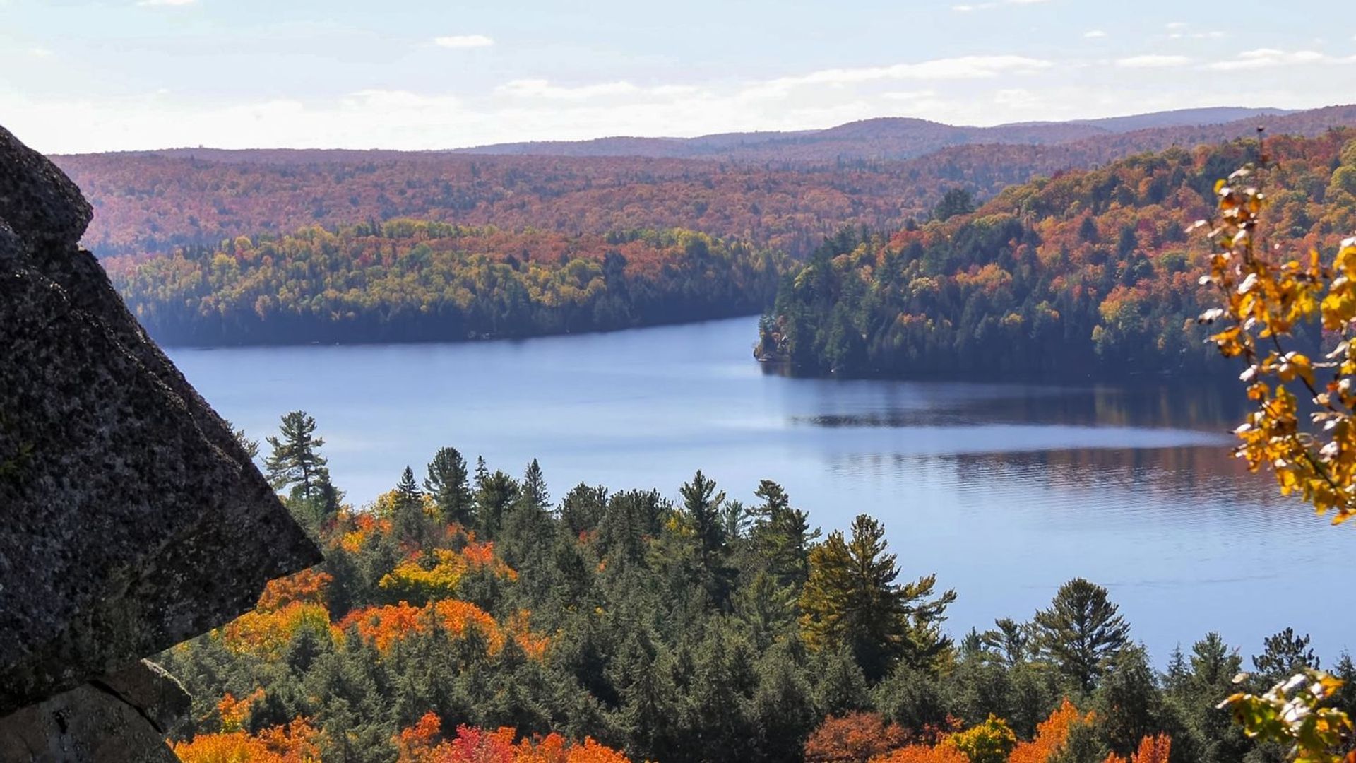 Een uitzicht op de Algonquin Park-rivier
