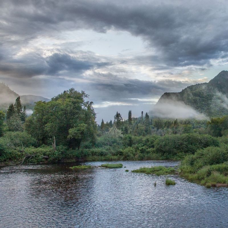 Een mistig landschap van het Quebec Jacques Cartier National Park