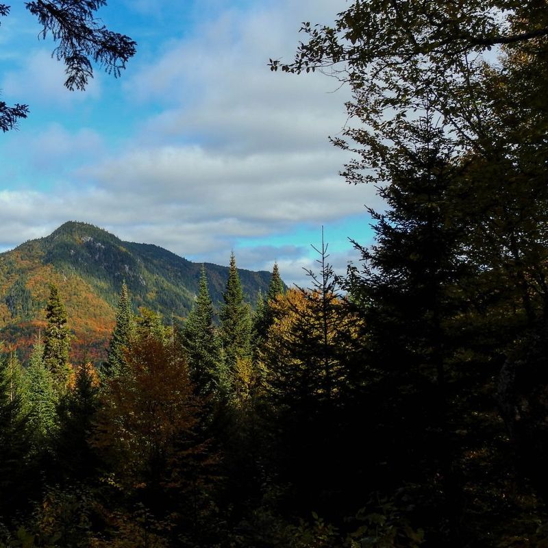 LA places East Canada Quebec Jacques Cartier National Park mountain