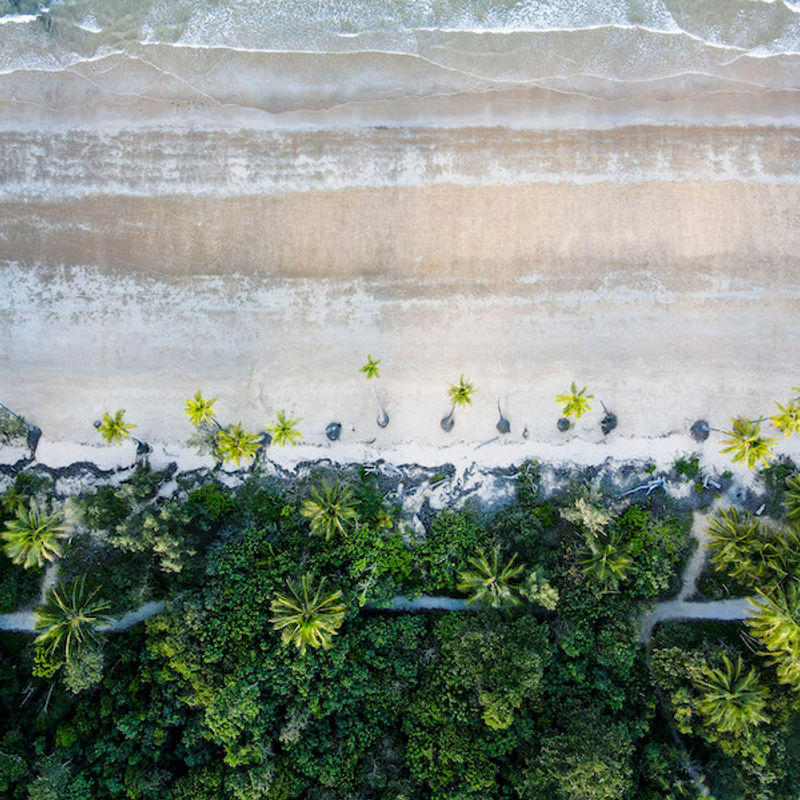 Luchtfoto van Mission Beach met groene begroeiing, strand en zee