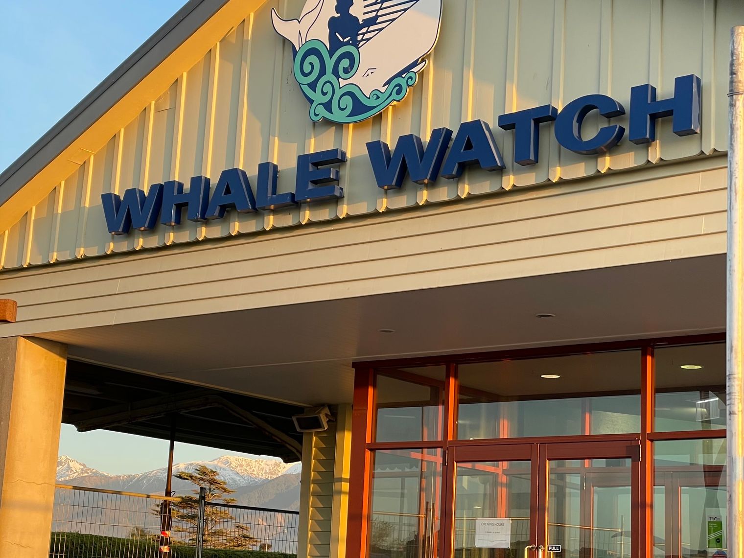 NZ Kaikoura whale watch building