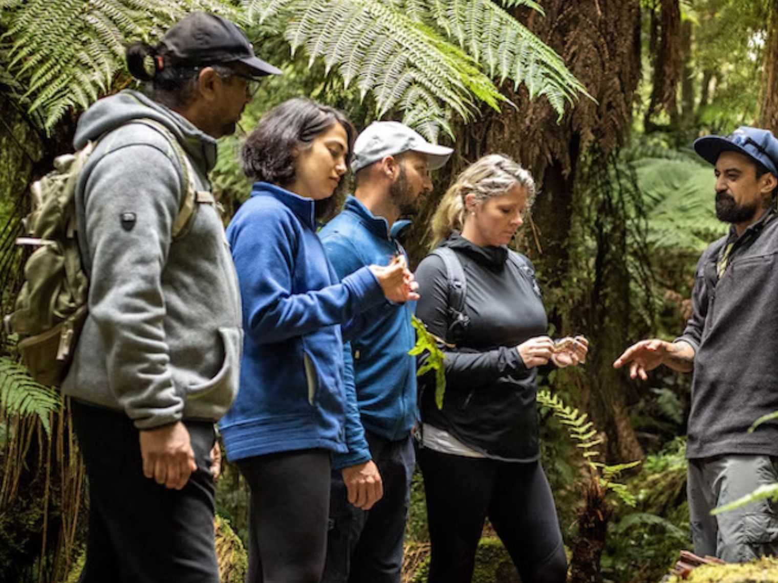 A Maori guide leads a tour in the rainforest with a group of guests