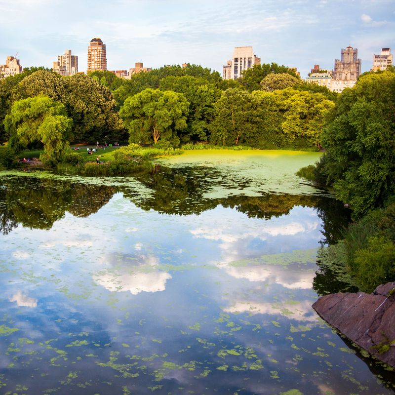 Het meer in Central Park, mensen liggen op het gras en er zijn wolkenkrabbers achter de bomen te zien