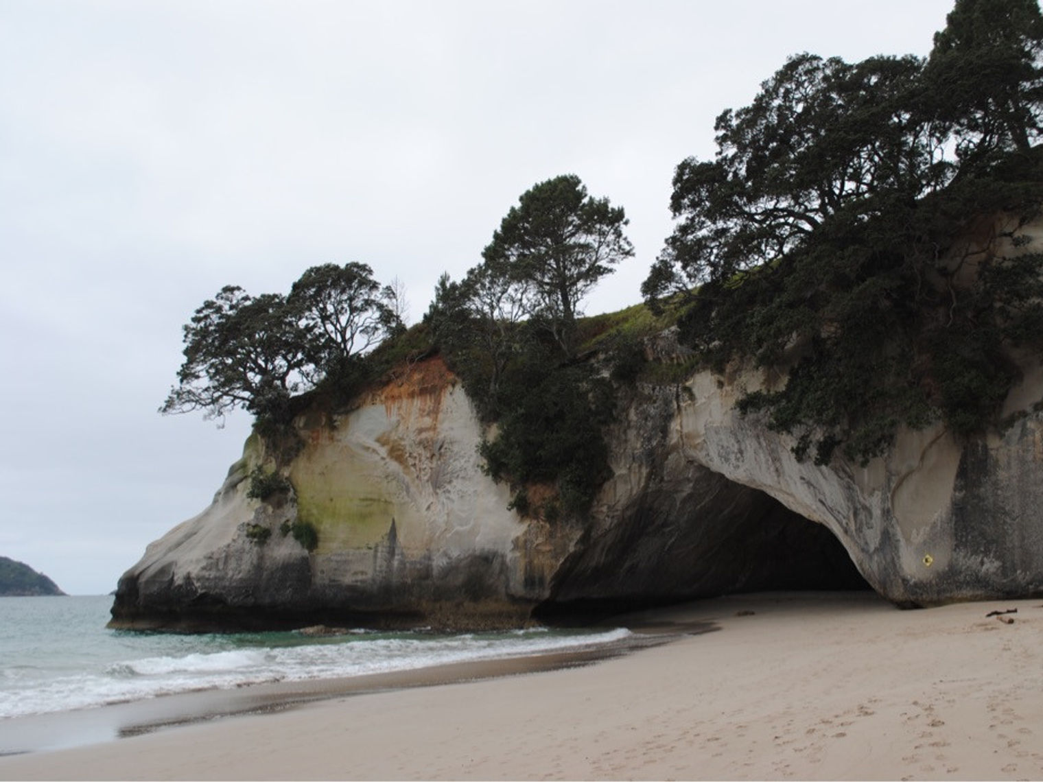 Newzealand north coromandel cathedralcove clients uffelmann