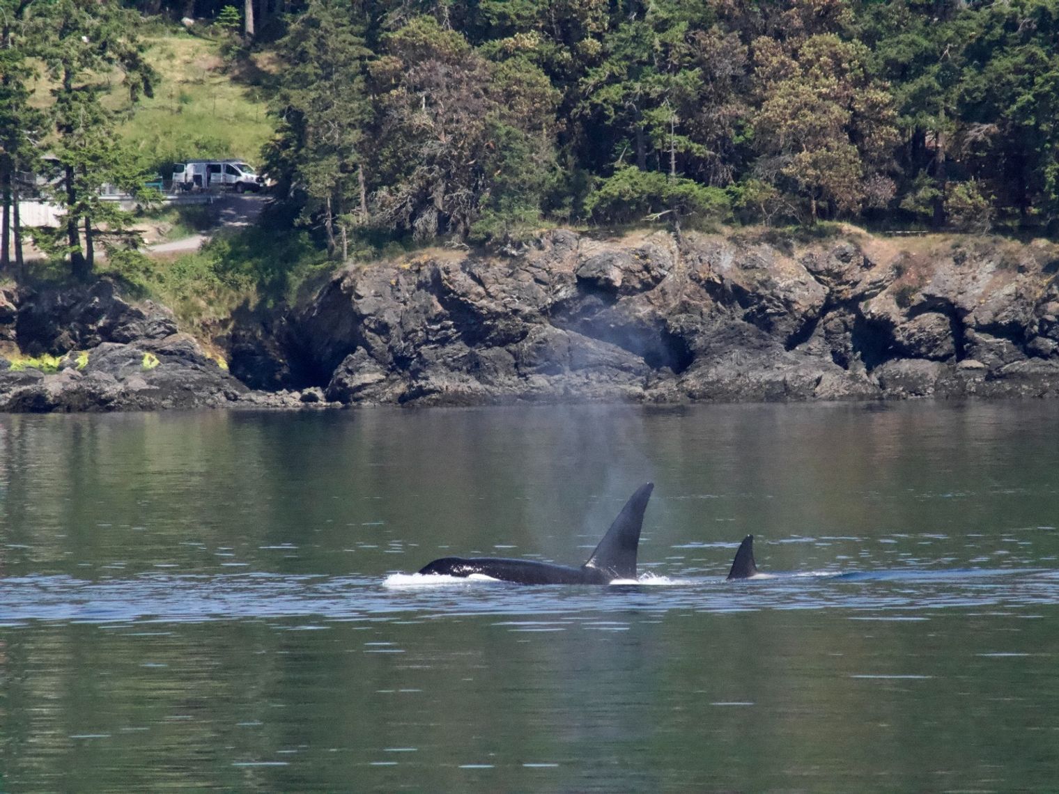 Orca Spirits Mama met de kleine