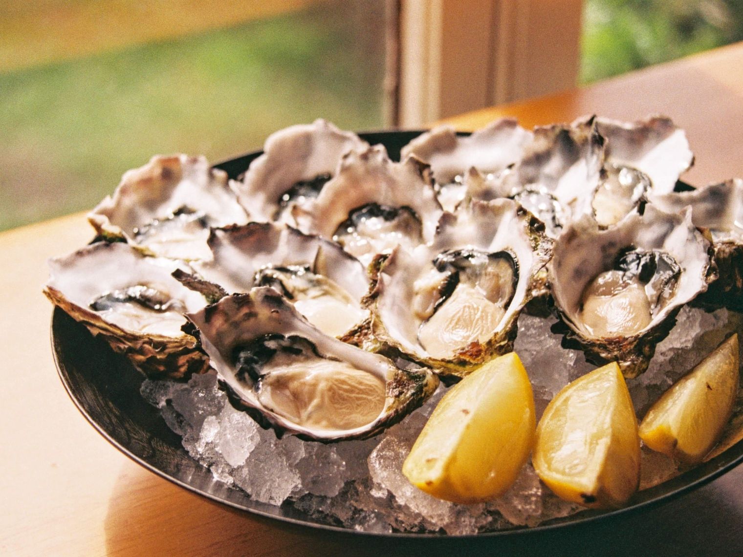 aus-sa-eyre peninsula - oysters