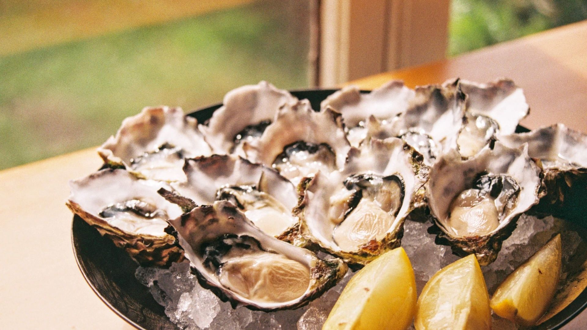 aus-sa-eyre peninsula - oysters