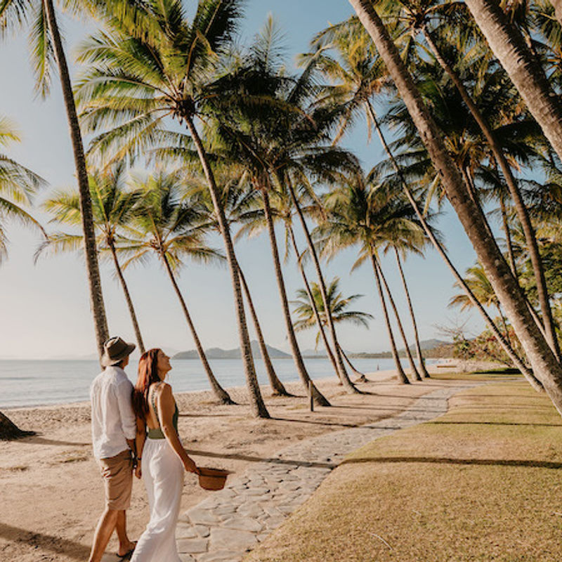Palm Cove 1