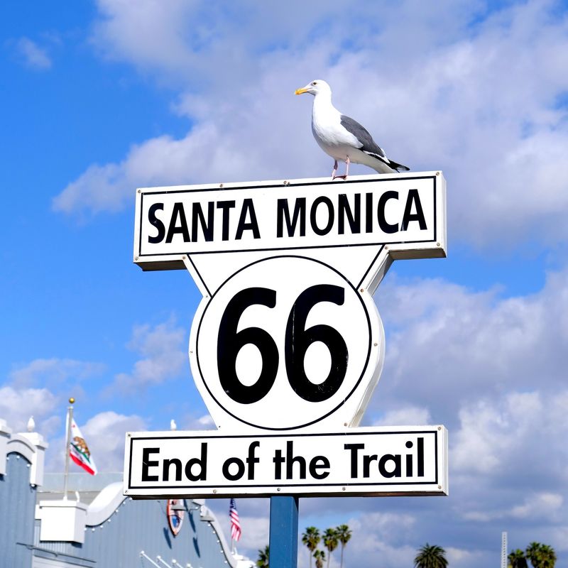 The Route 66 “End of the Trail” sign in Santa Monica, USA, with a seagull perched on top against a bright blue sky.