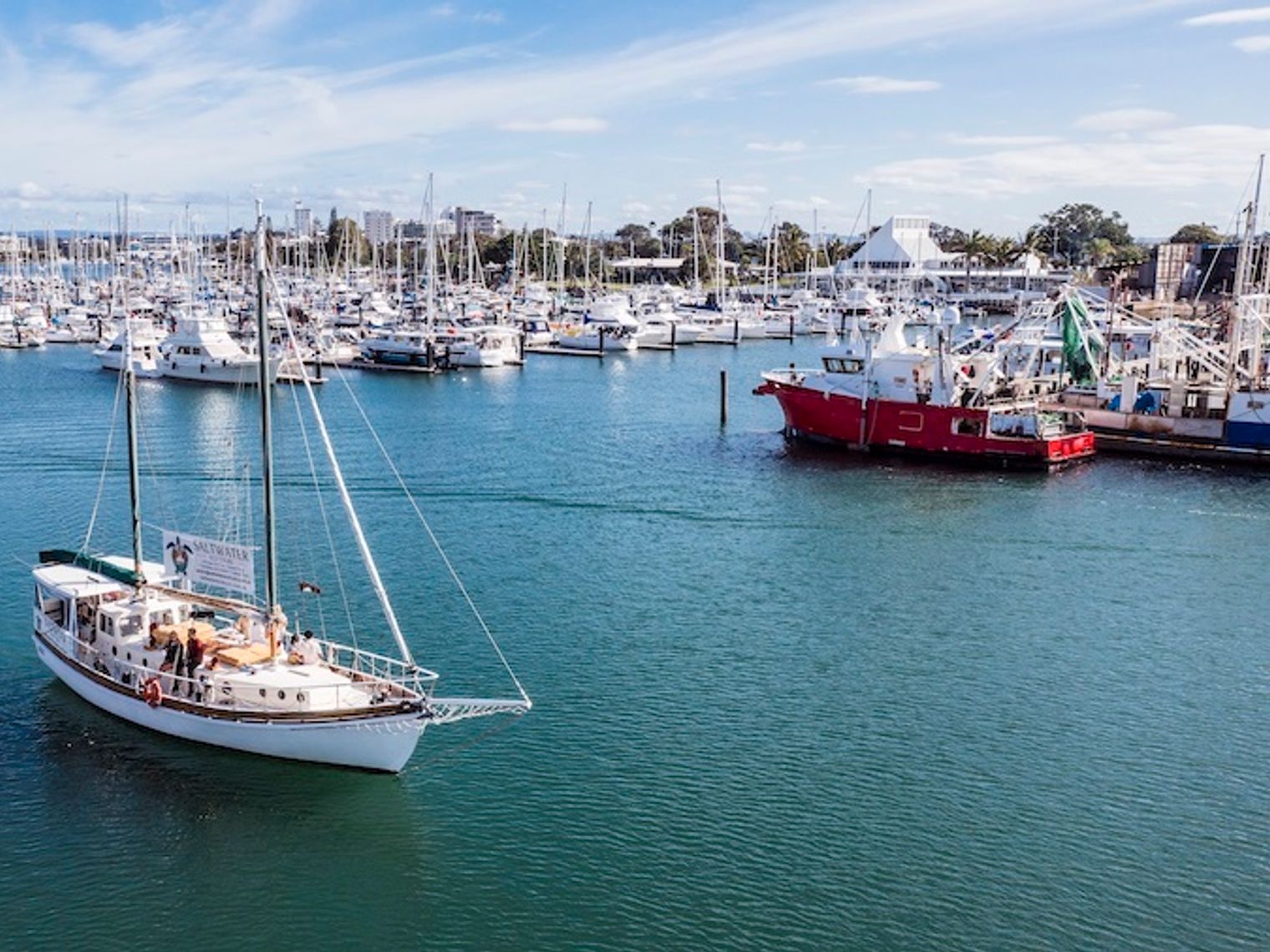 Saltwater Eco Tours 37