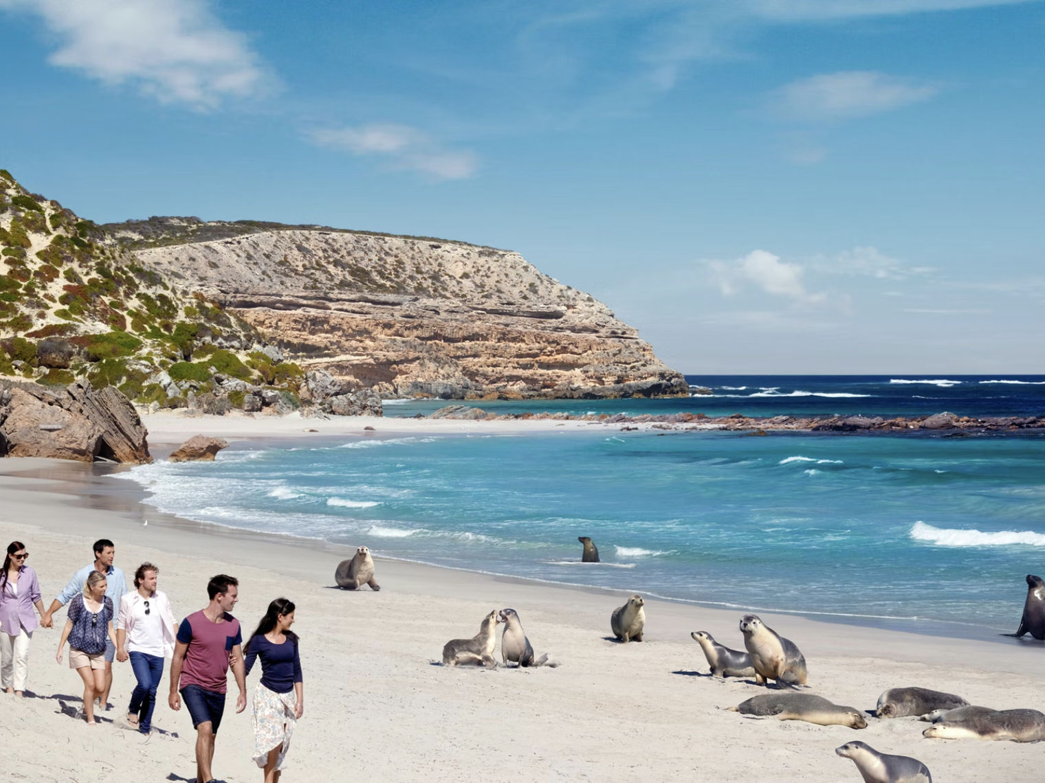 Seal Bay Conservation Park Australia