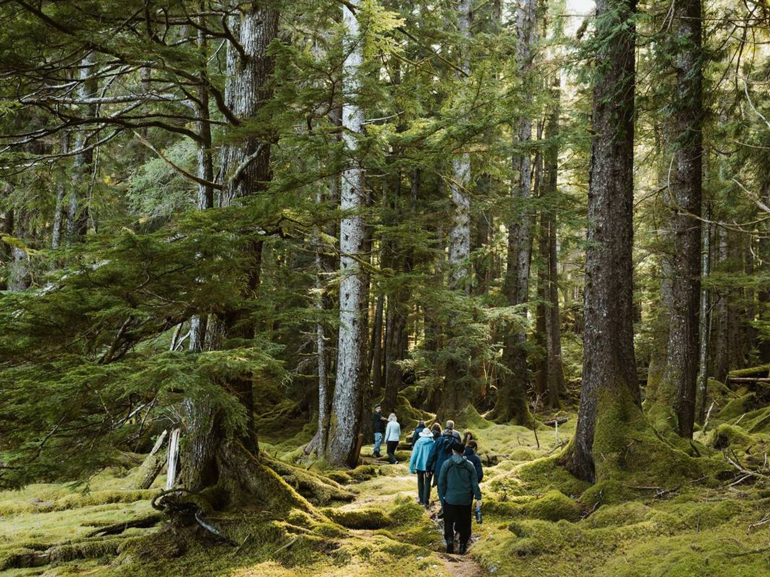 Kanada British Columbia Haida Gwaii