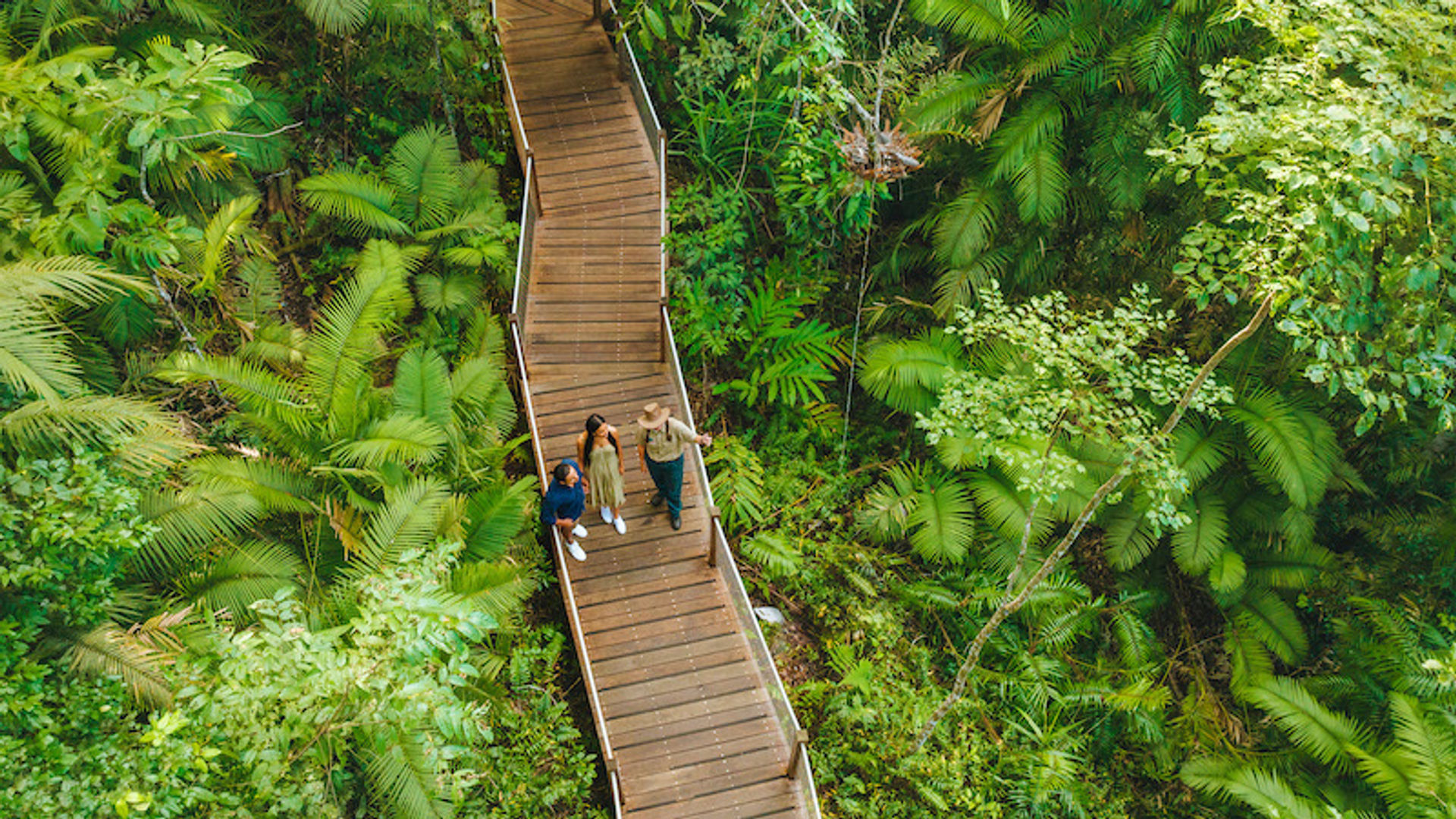 Skyrail Rainforest Cableway