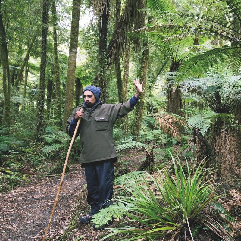 Te Urewera Local Maori guide tells about the rainforest
