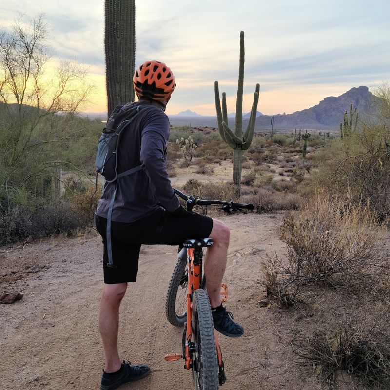 A cyclist rests and looks at a cactus while cycling through the desert in Phoenix, Arizona