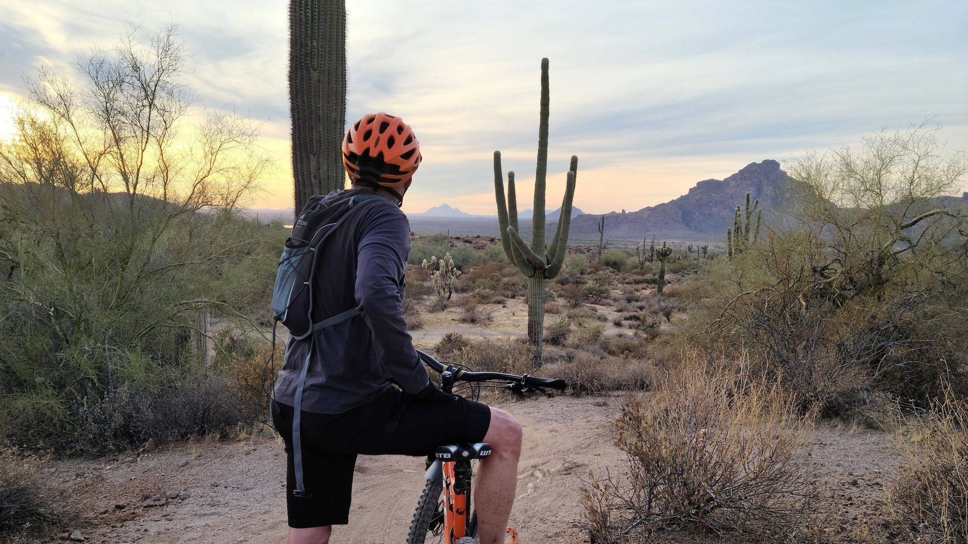 A cyclist rests and looks at a cactus while cycling through the desert in Phoenix, Arizona