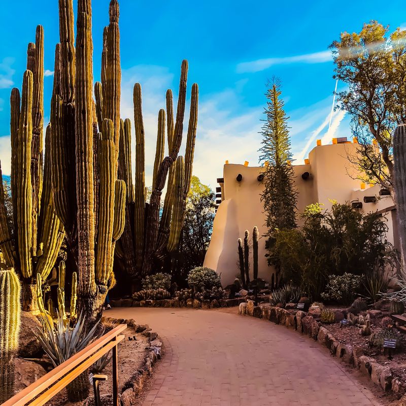 US Arizona Phoenix desert botanical garden nichole granja unsplash