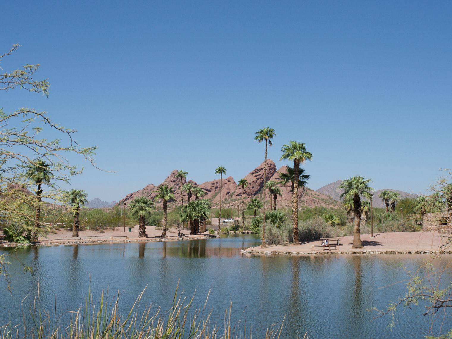 US Arizona Phoenix desert oasis
