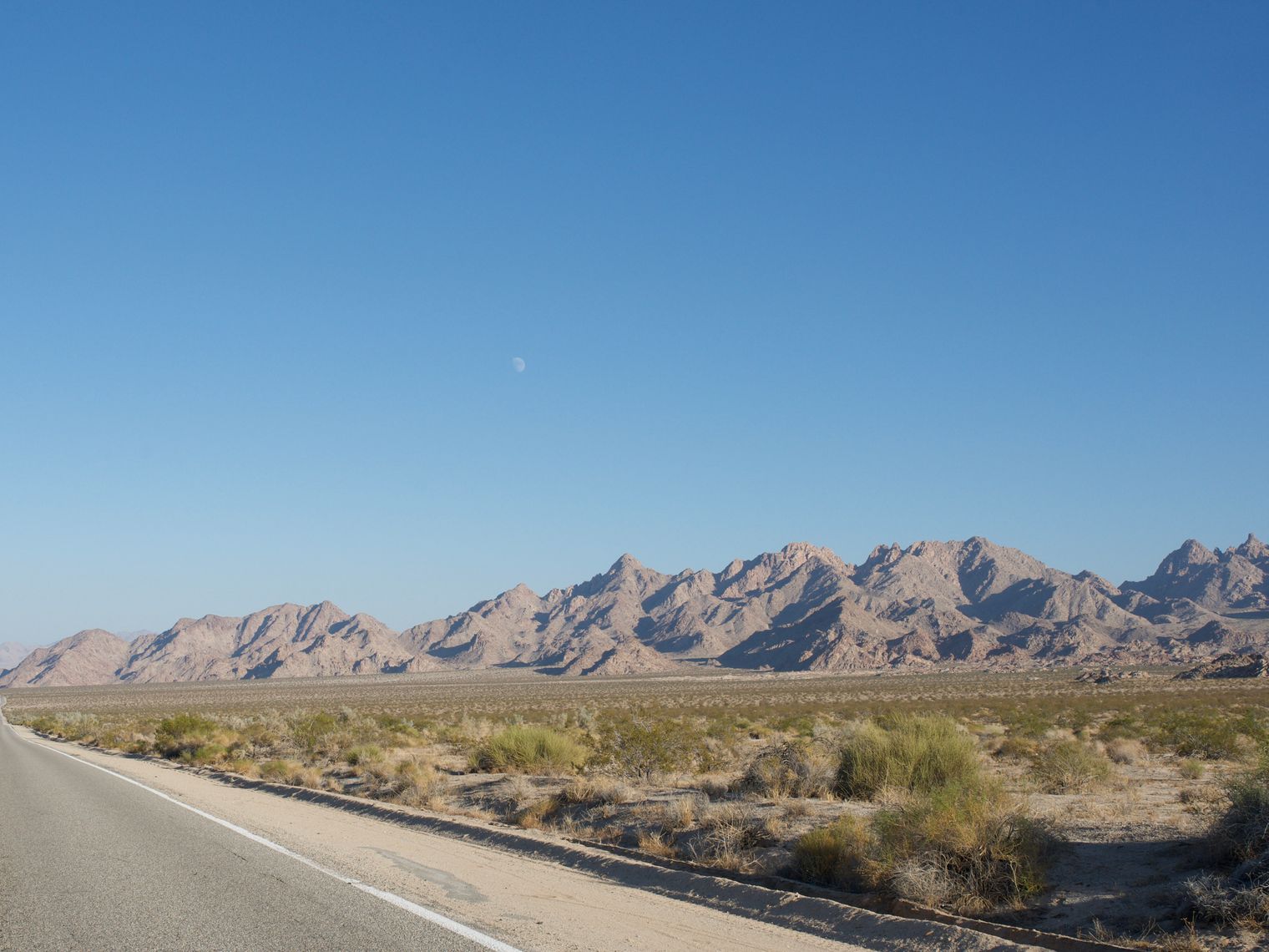 US California Joshua Tree NP road scenery
