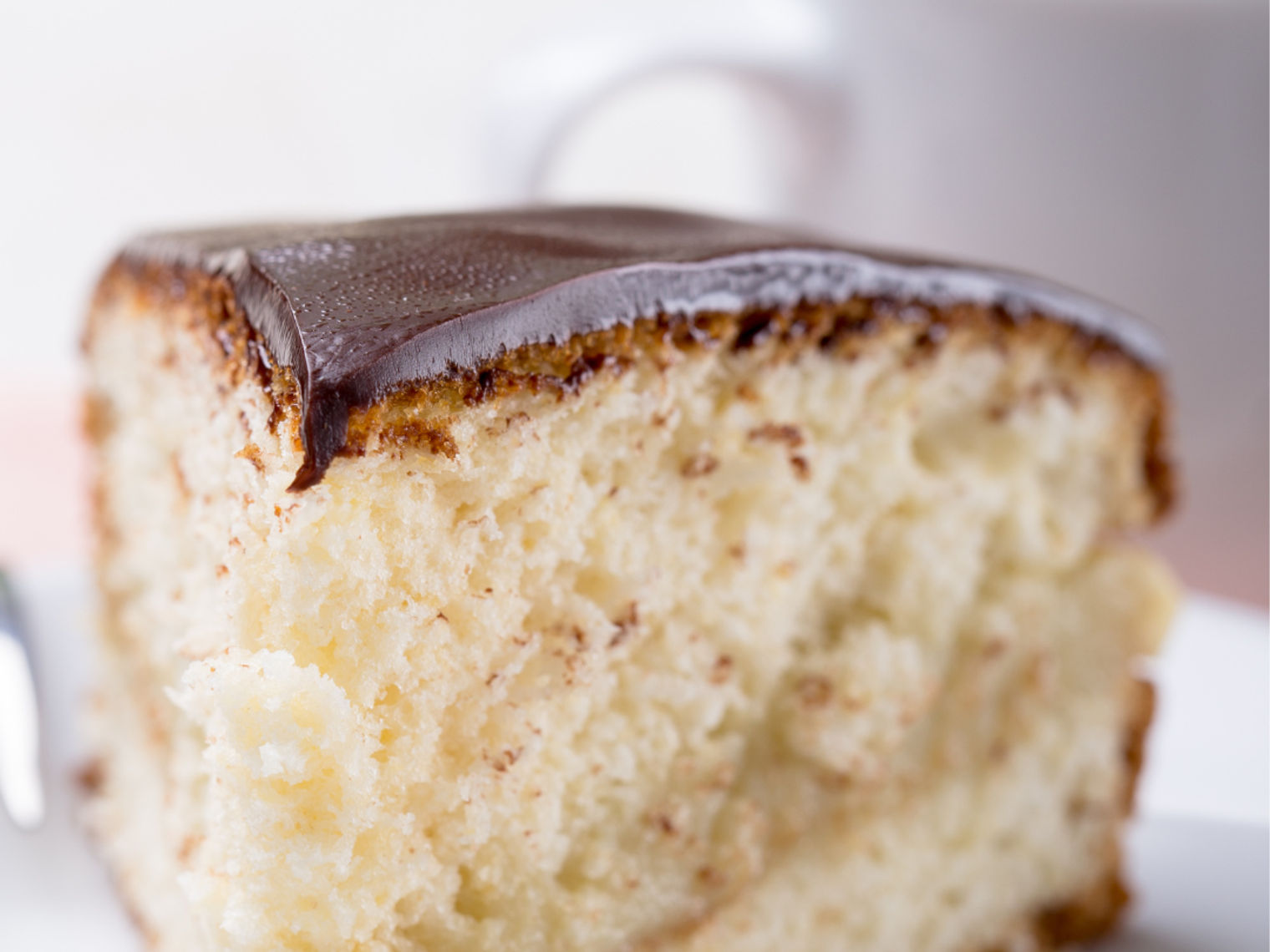 US New England Boston Cream pie