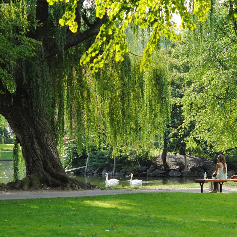 US New England Boston city park