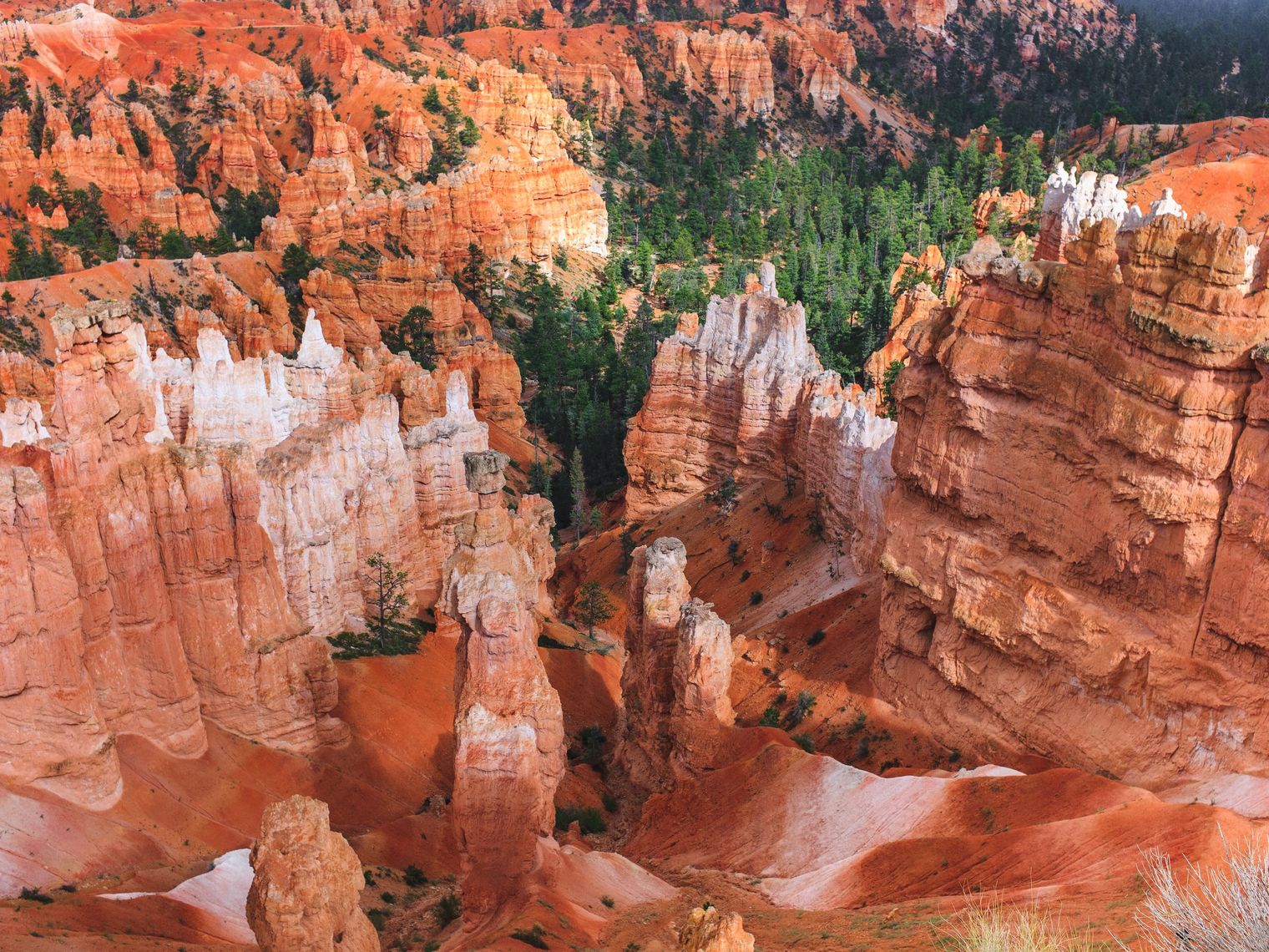 US Utah Bryce Canyon NP aerial view luca bravo unsplash