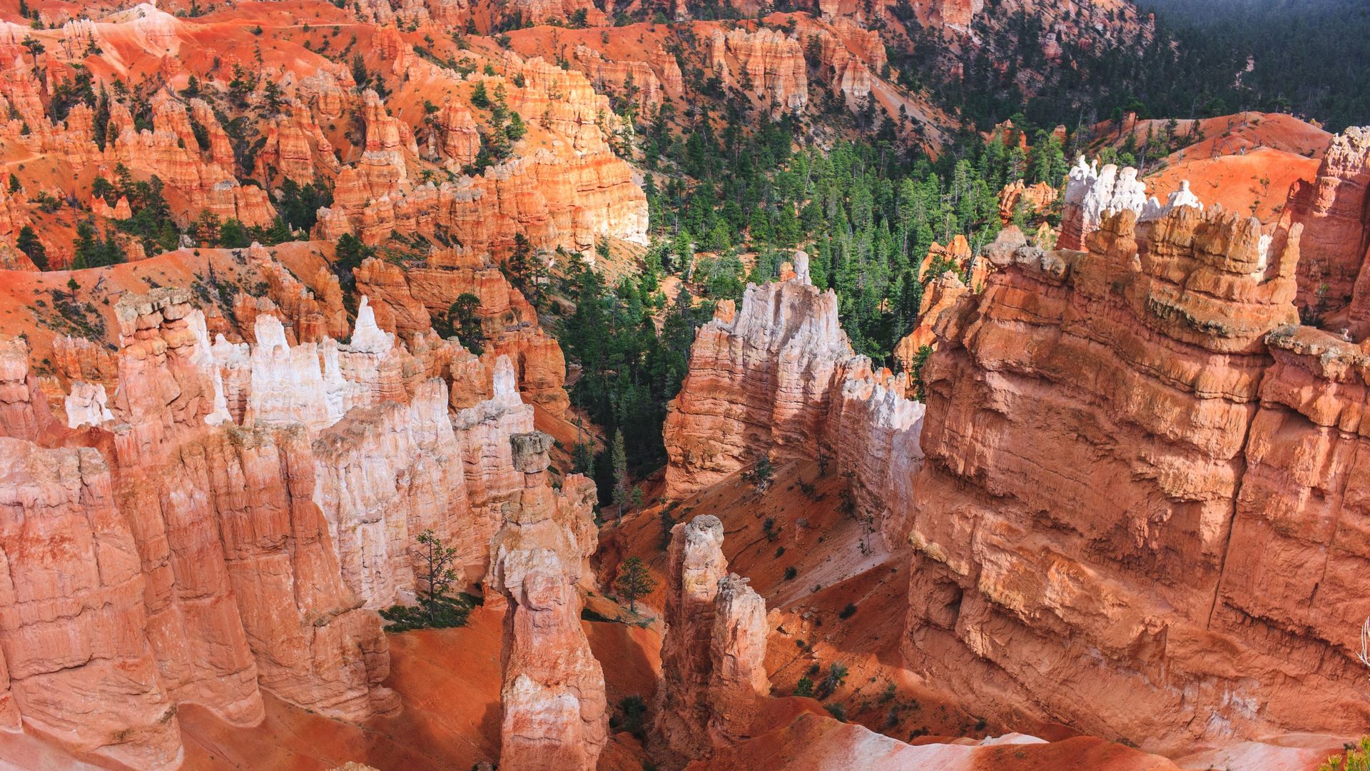 US Utah Bryce Canyon NP aerial view luca bravo unsplash