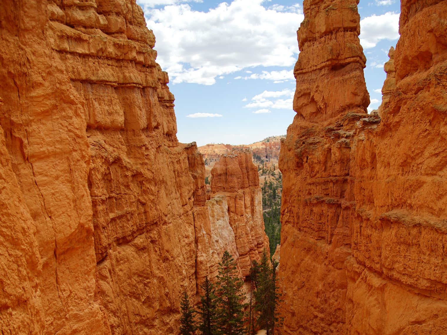 Wandelroutes in Bryce Canyon National Park, Utah, VS