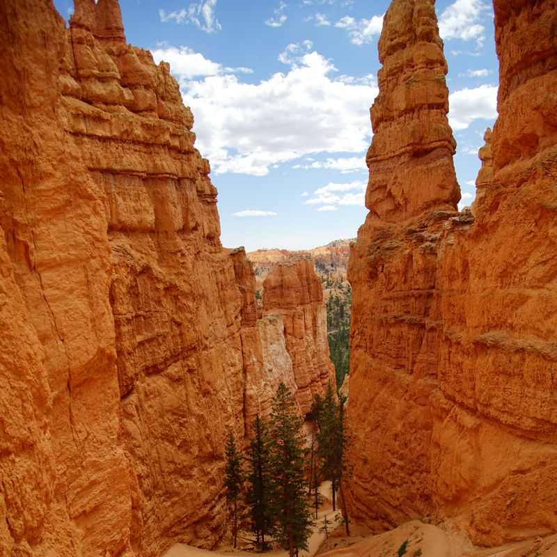 Wandelroutes in Bryce Canyon National Park, Utah, VS