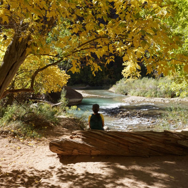 US California Zion national park autumn jaida stewart unsplash