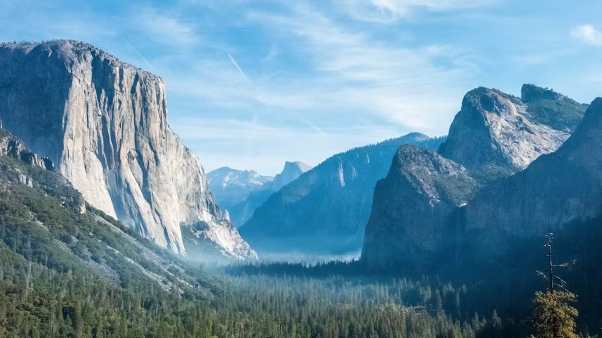USA California Yosemite National Park newsletter 2