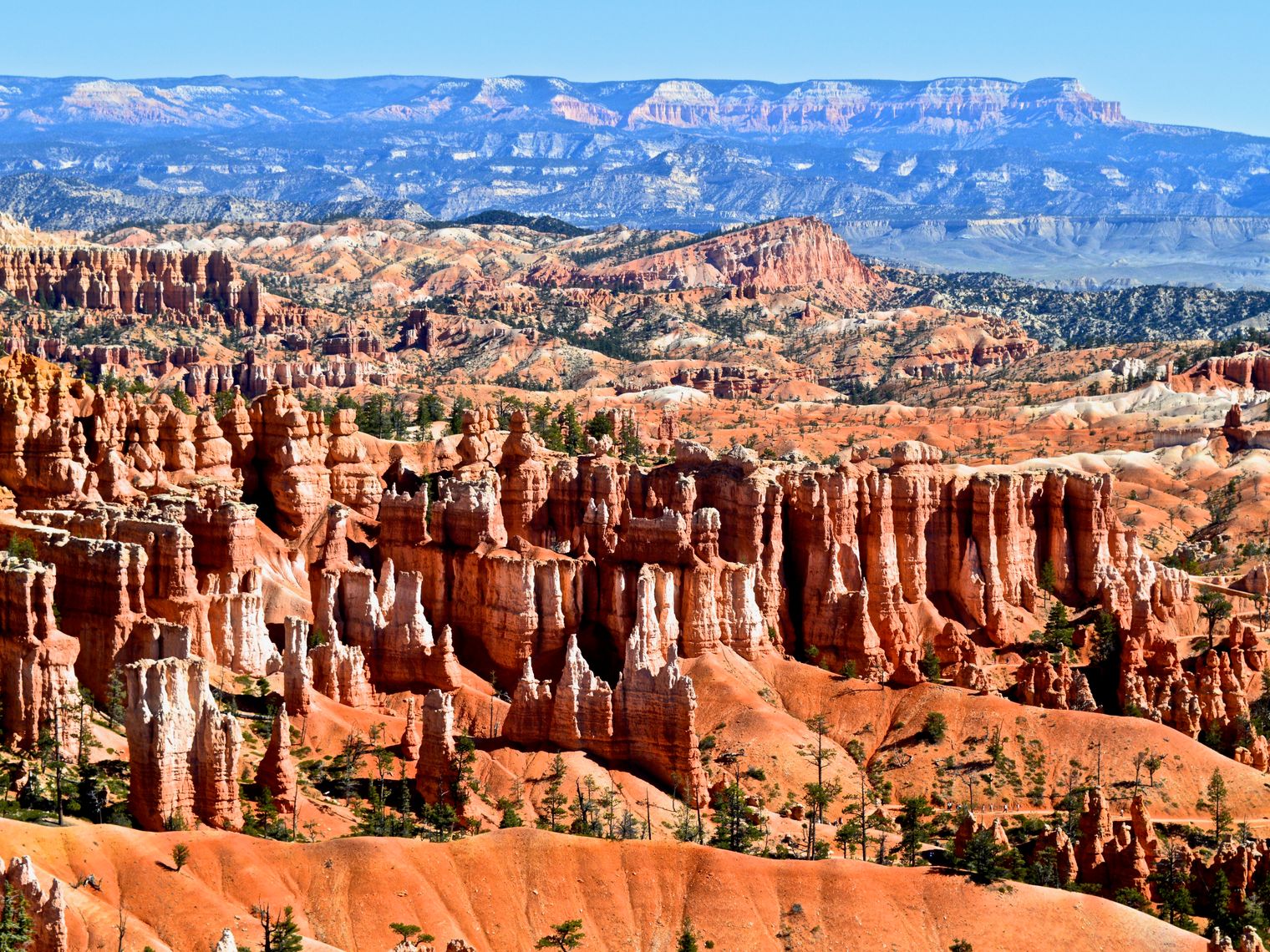 Rote Felssäulen im Bryce Canyon in den USA