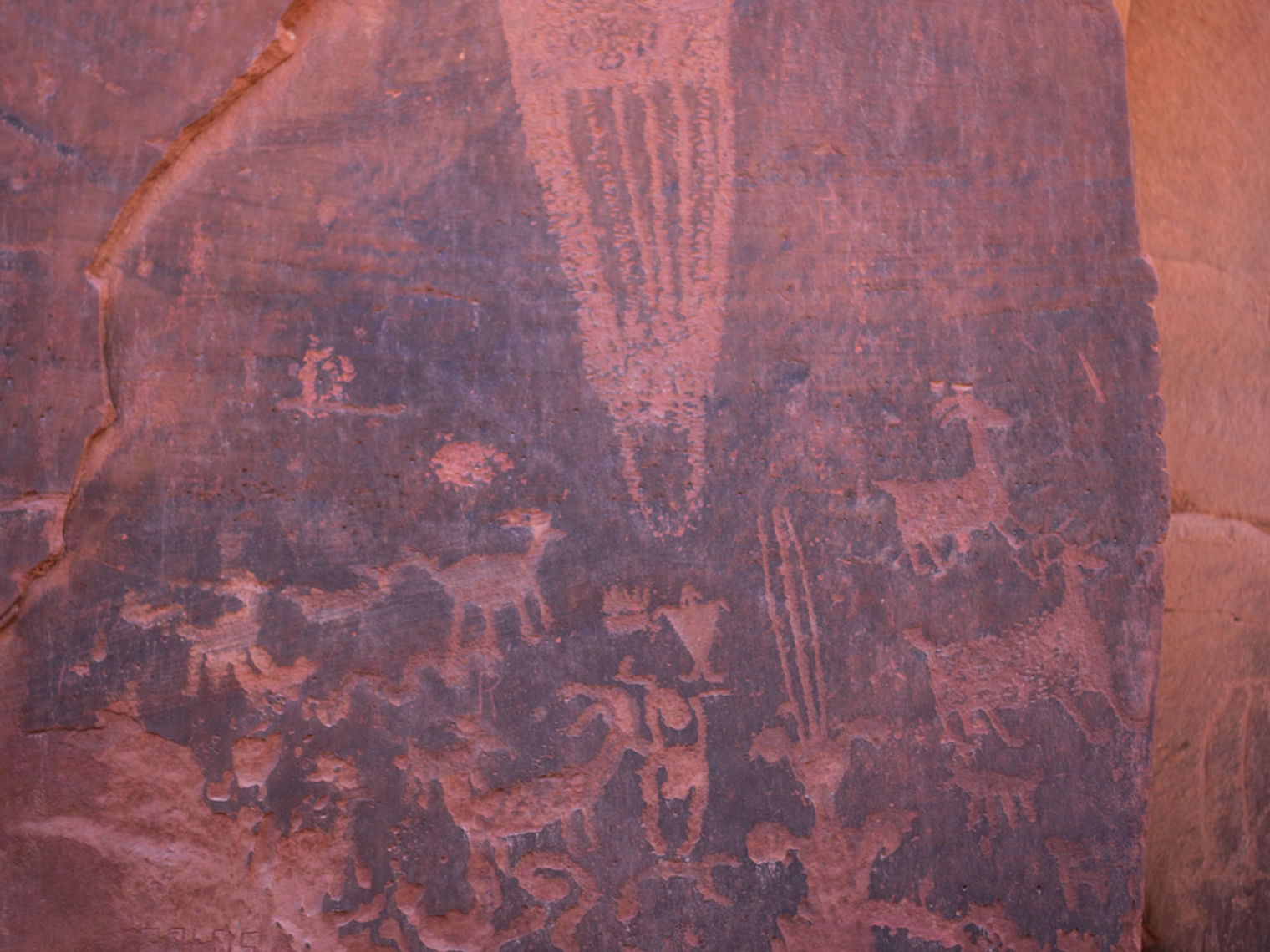 USA Utah Moab Petroglyphen