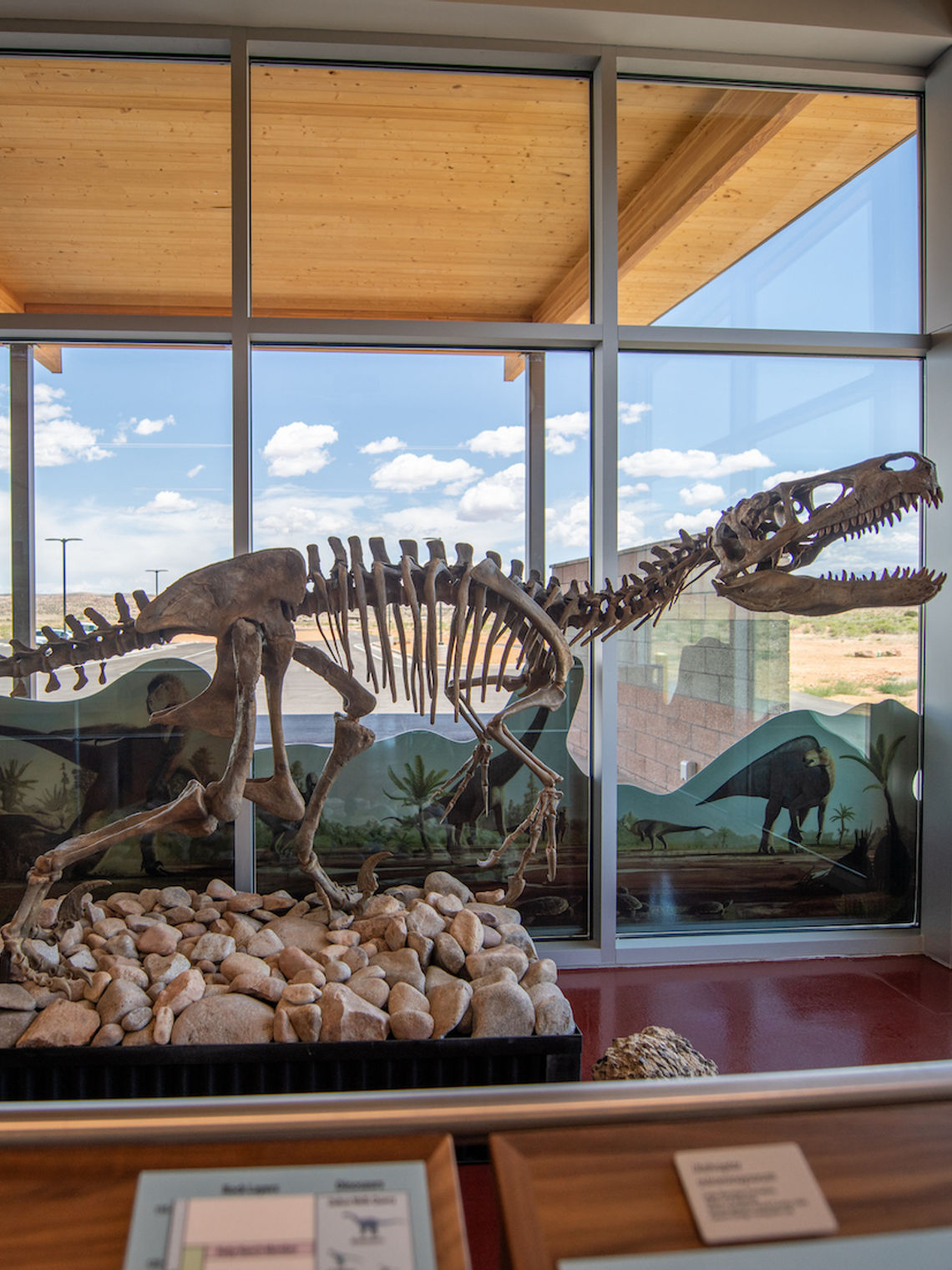 Dinosaurier-Skelett in Museum in Utah