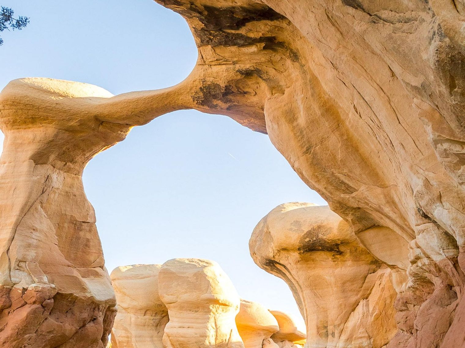 USA Utah Kanab Grand Staircase Escalante