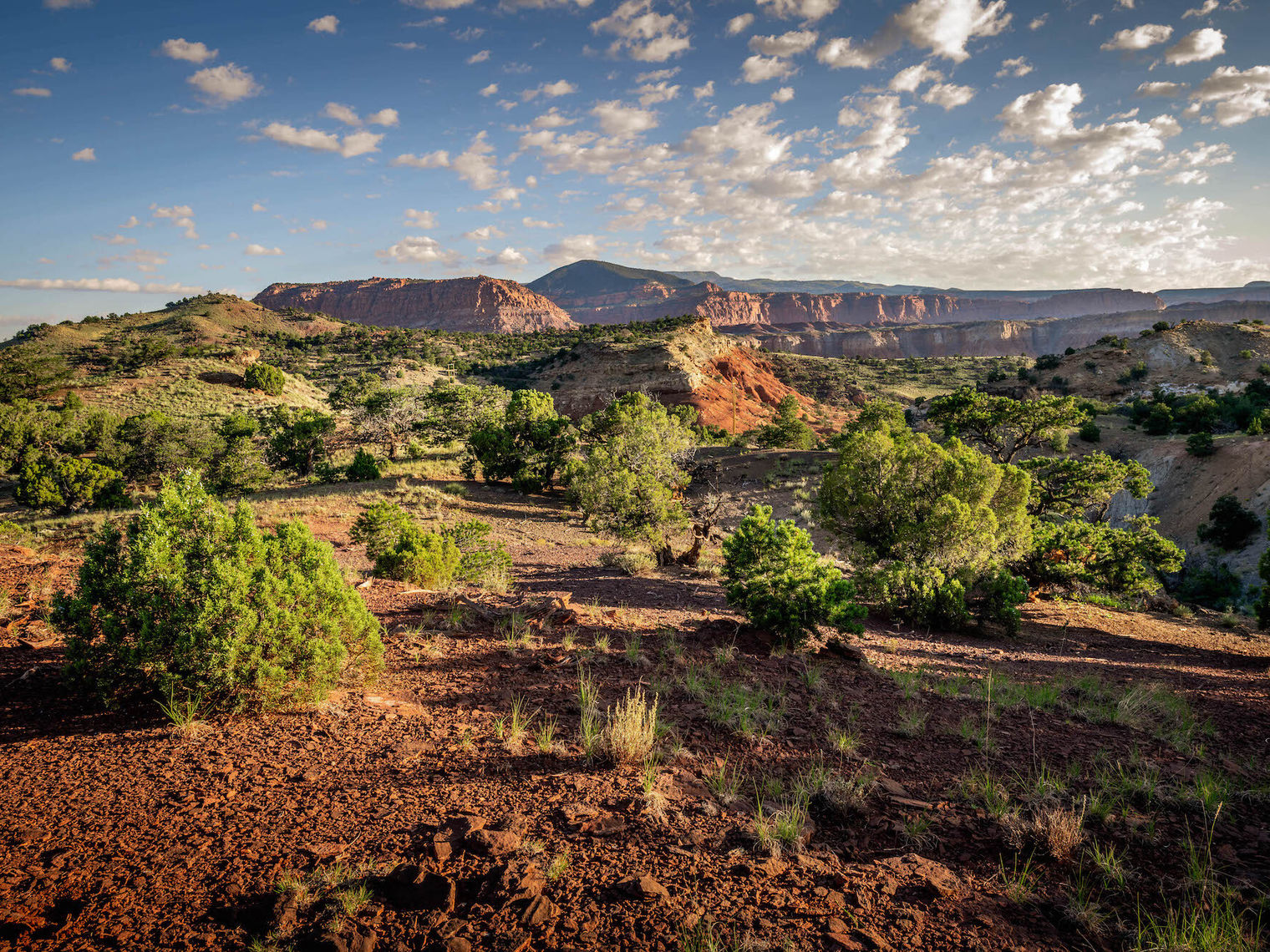 USA Utah Wayne County Teasdale Wüste
