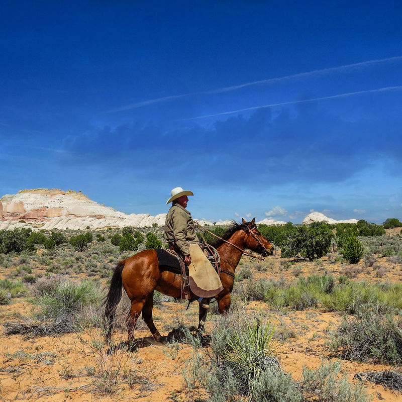 USA Utah Kane county Reiter