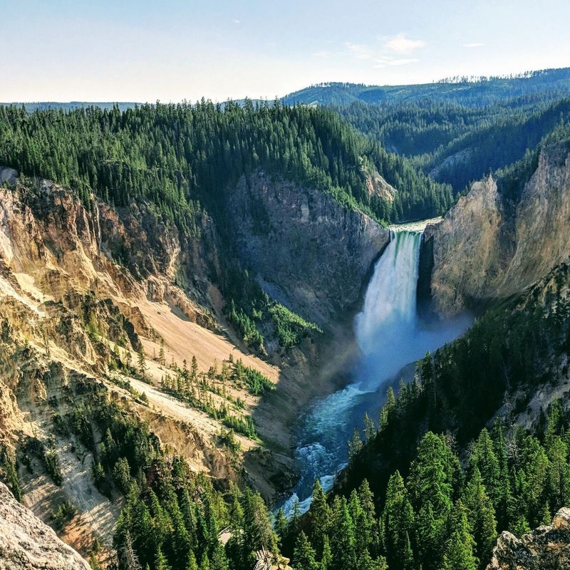 A powerful waterfall in Yellowstone National Park, surrounded by green pine trees