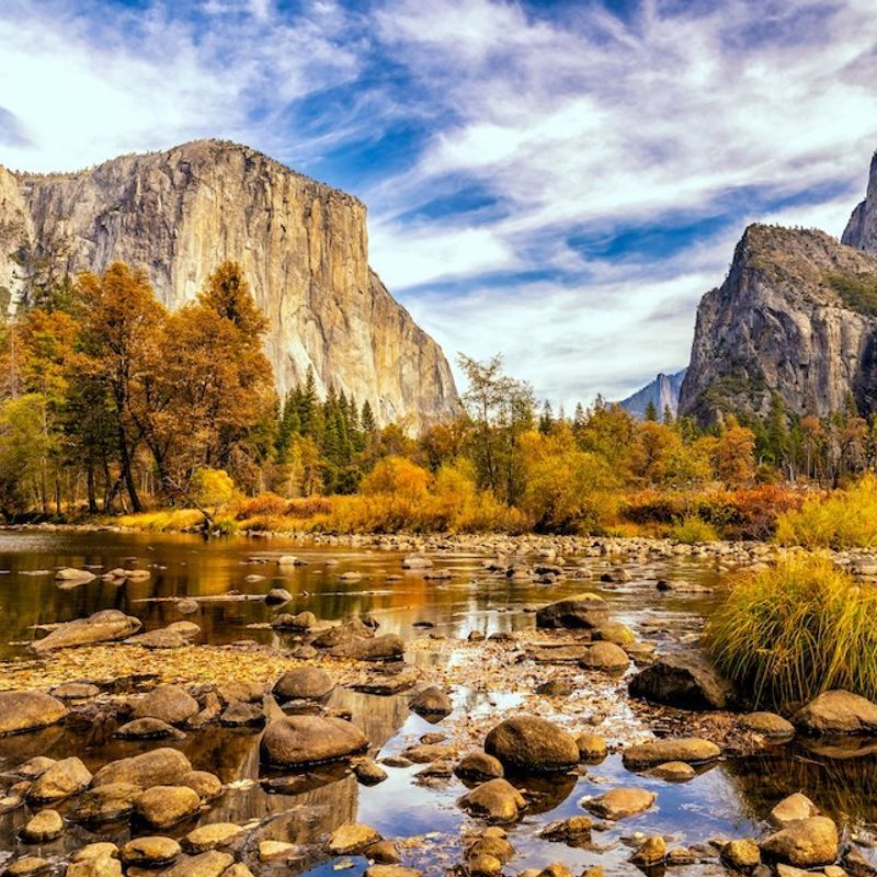 Yosemite National Park in Californië tijdens de herfst met gele en bruine bladeren aan de bomen