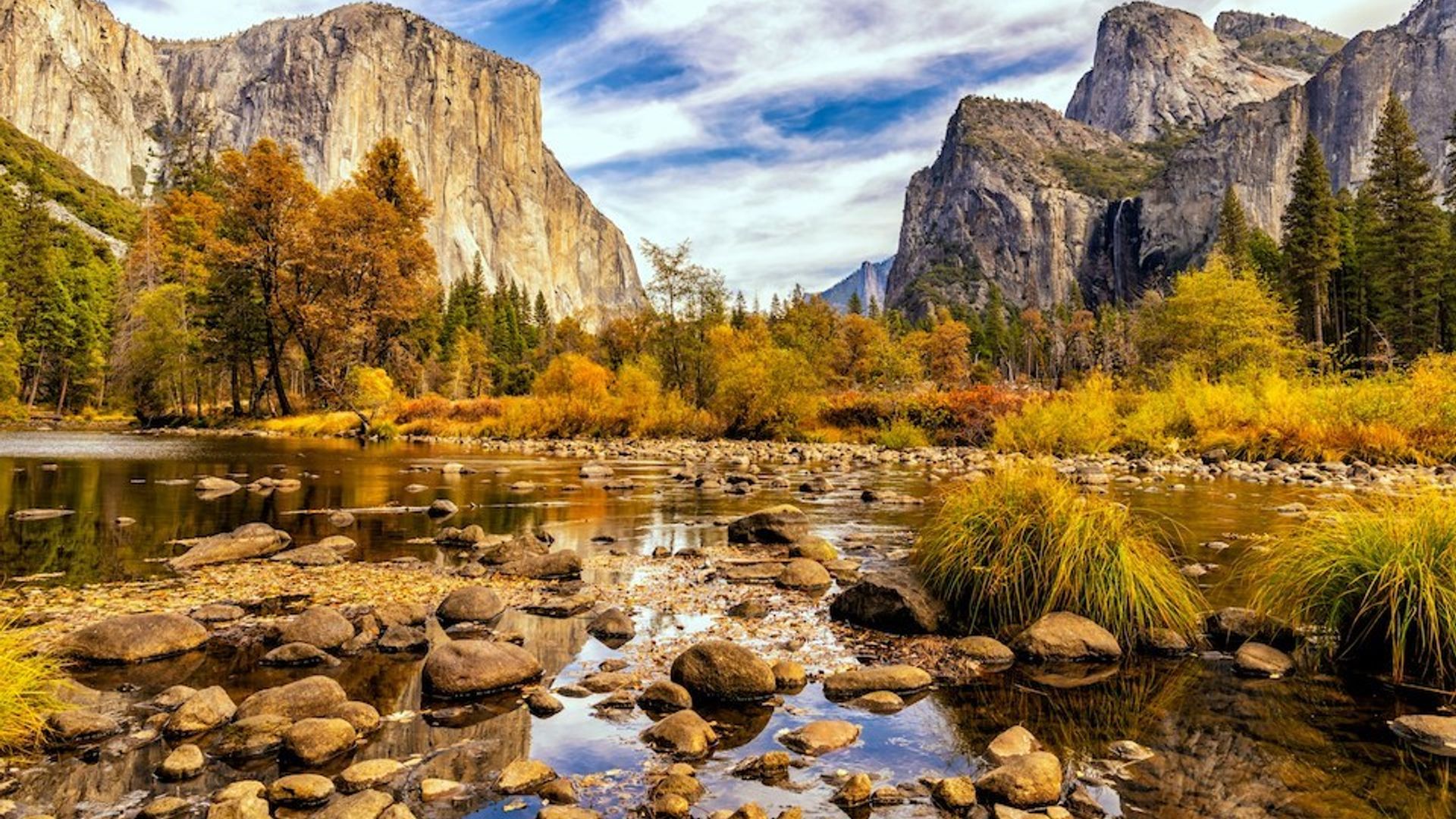 Yosemite National Park in Kalifornien im Herbst mit gelben und braunen Blättern an den Bäumen