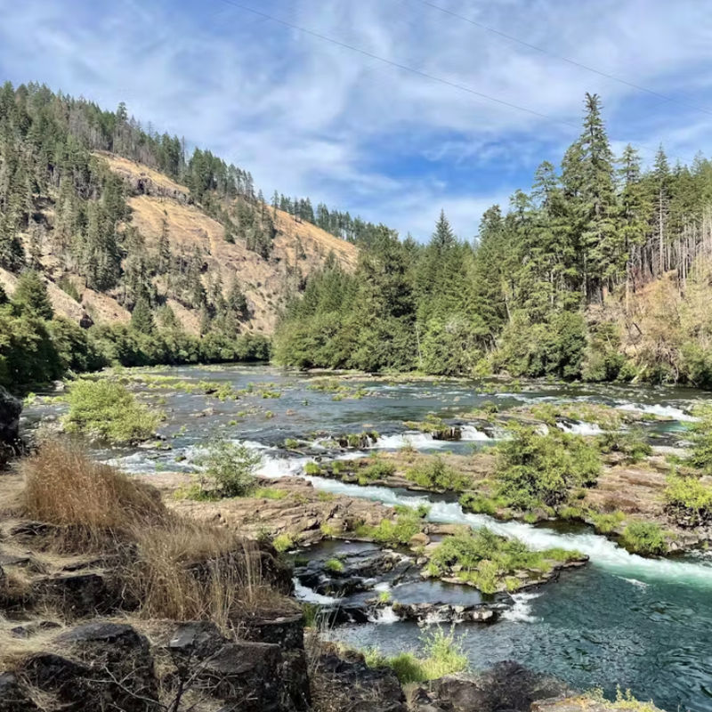 USA Nordwesten Oregon Umpqua National Forest